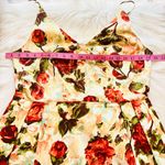 Isaac Mizrahi Dress Photo 10