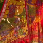 Colorful Abstract Textured Indian Sheer Scarf Duputta Red Photo 6