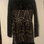 Venus Black & Nude Lace Cut Out Dress 4 NWOT Photo 6