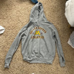 University Of Minnesota Vintage Hoodie Gray Photo 0
