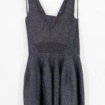 Ted Baker London Glitzia Black Metallic Sleeveless Skater Mini Dress Photo 2