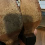 FREEBIRD by Steven Falcon Photo 7