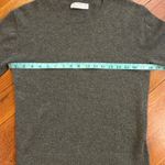 Everlane The Boxy Crew in Cashmere Photo 5