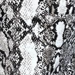 EXPRESS  Shirt Womens Small Black Gray Snake Print Blouse Puff Sleeves Reptile‎ Photo 5