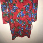 LuLaRoe Dress Debbie Photo 4