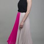 LOYD/FORD Pleated Skirt Photo 0