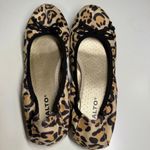 Rialto  Sunnyside II Women Shoes Bow Ballet Flats Leopard Women’s Size 6.5 Photo 4