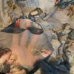 Angel Mesh Top Photo 2