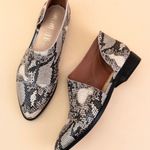 MI IM Snake Print Cutout Flat Photo 2