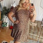 Rebecca Taylor  Cheetah Print Mini Dress Brown Small Photo 23