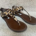 Steve Madden Sandals Photo 0