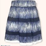 Banana Republic  Blue Striped A Line Skirt Size Small Photo 1