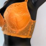 Fairy Y2K Bustier Orange Lace Mesh Floral Polkadot Bra Size undefined Photo 4