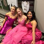 Sherri Hill Pink Corset  Dress Photo 2