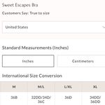 Free People #166 NWT Sweet Escapes Bra in Anthracite Combo Photo 4