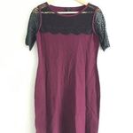 Ann Taylor  Wool Lace Up Knit Sheath Dress‎ Short Sleeve Plum Womens Size … Photo 0