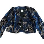 Diane Freis Original Open Photo 0