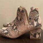 Steve Madden Rockir Snakeskin Embossed Ankle Boots Photo 1