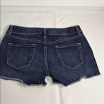 Level 99 Blue Jean Shorts Distressed Cut Photo 5