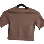 Everlane The Seamless Tee Acorn (Brown) Cropped Short Sleeves Crew Neck XS/S New Photo 0