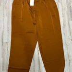 Skies Are Blue NWT  Women's Bronze/Brown‎ Pleated Pants Size 1X Elastic Waistband Photo 0
