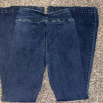 YMI Jeans  Bell Bottoms Boutique Photo 1