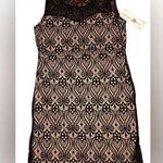 Wishful park  Black Lace Overlay Dress Photo 0