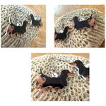 Dachshund Earrings New Dangle Hooks Double Sided Black Tan Weenie Dog Ge… Photo 11