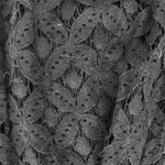 Boom Boom Jeans Boom, boom, jeans, size large Photo 1