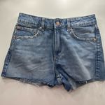 Garage  Jean Shorts Photo 0