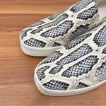 Vince . Saxon 2 Snakeskin Embossed Leather Slip On Platform Sneakers Size 7.5 Photo 2