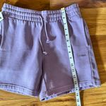 Aritzia TNA Cozy Fleece Boyfriend Sweatshorts New XS Lavender Photo 6
