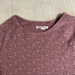 American Eagle  Cropped Short Sleeve Top Photo 6