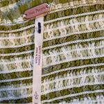 Free People NWOT  Leilani Tube Top in Green Gingham Size Large Photo 9