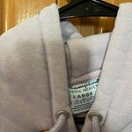 Champion Cropped Hoodie Photo 1