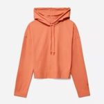 Everlane  Women's 100% Organic Cotton Retro Jersey Drawstring Hoodie Sweatshirt L Photo 0
