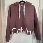 Calvin Klein Performance Women's Logo Long Sleeve Raglan Crop Pullover Hoodie Purple Size M Photo 3