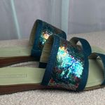 Tahari  Fern Rainbow Sequin Slides Women’s Sandals Denim Slip On Flip Flops 8M Photo 2