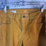 Pilcro and the Letterpress  Mustard Yellow Corduroy Pants | Size 28 | MSRP $98 Photo 3