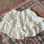 Lizard Thicket Skirt Photo 0