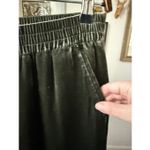 Garnet Hill  Moss Ivy Green Silk Velvet Wide Leg Pull On Pants XS Photo 4