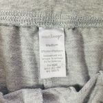 West Loop Grey Shorts Photo 2