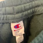 Champion  Women Green Athletic Sporty Shorts with Side Stripe Sz L NWT Photo 3