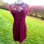 Sans Souci  Lace Burgundy Wine Dress Photo 4