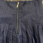 Cynthia Steffe  woman navy blue pleated skirt woman size 8 100% lamb so soft Photo 4