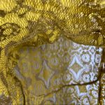 Free People Walking to the Sun Dandelion Lace Dress Photo 3