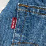 Levi's NWT Wedgie in Charleston Breeze High Rise Tapered Leg Stretch Jeans 31 Photo 5