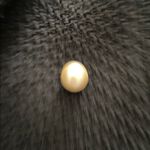 Mango MNG Black Textured Blazer with pearl Buttons size S length 29” bust 36” Photo 11