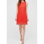 Hill House  Charlie Shift Mini Dress, Poppy Red Scallop Lace, Small Photo 3
