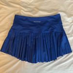 Gold Hinge  Skirt Photo 1